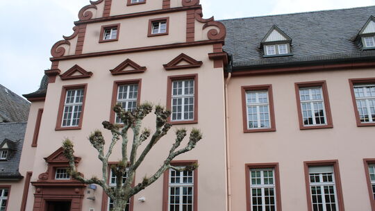 Mit einem Randalierer mussten sich die Beamten der Polizeiinspektion Bad Ems am 12. Mai auseinandersetzen.