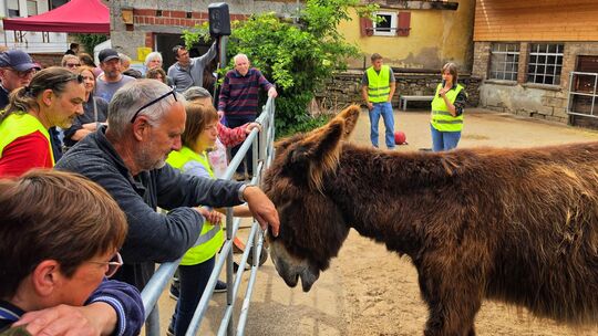 Viele Besucher nutzten den Tag des offenen Hofes in Heimweiler, um die Esel aus nächster Nähe zu erleben.