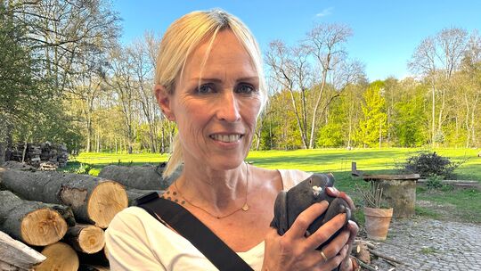 Tanya Müller aus Lindenholzhausen rettet verletzte Tauben. Einige wurden nach ihren Angaben sogar angeschossen.