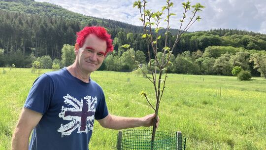 400 Kastanienbäume hat Christoph Engels im Alftal bereits gepflanzt, meist auf Streuobstwiesen.
