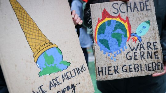 Klimastreik Fridays for Future in Hamburg