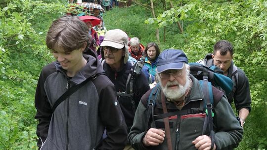 Wanderer aus allen Altesrgruppen waren am Tag des Wanderns auch mit dem Westerwald-Verein unterwegs - hier auf dem Limesweg bei