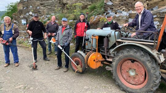 Die Alten-Alten-Herren aus Müden arbeiteten mit großem ehrenamtlichen Engagement auf der uralten Weinbergslage "Krabaun". Mit da