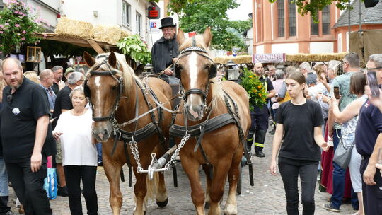2026 wird es dieses Bild auf dem Marktplatz von Heimersheim nicht geben. Das Weinfest wird in diesem Jahr in abgespeckter Form d
