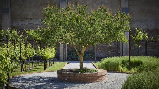 Einer der schönsten Spielorte der Kunstbiennale 2026 in Venedig: In einem Karmeliter-Kloster unweit des Inselbahnhofs Santa Luci