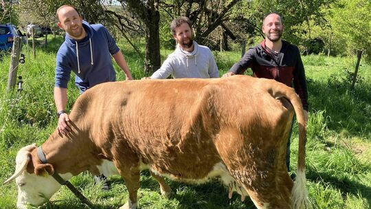 Kuscheleinheit im saftigen Grün: Alexander, Florian und Johannes Göppert (von links) bewirtschaften den Hof Wiesengrund gemeinsa