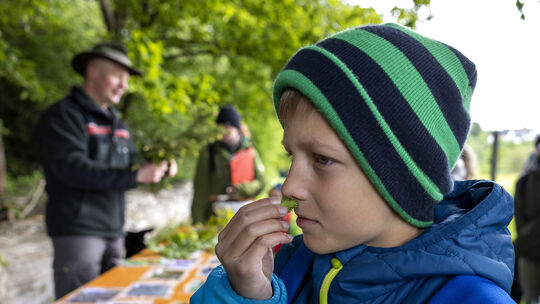 Was könnte das sein? Die Kinder erkundeten den Wald mit allen Sinnen.