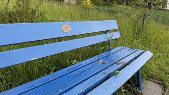 Die blaue Bank, aufgestellt von der FWG Kettig, wird im Ort rege genutzt. Schon mehrmals wurde sie in den vergangenen Monaten an