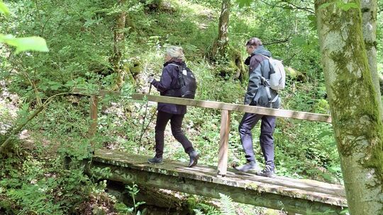 Mit dem Westerwald-Verein ging es am bundesweiten Tag des Wanderns durch das wildromantische Jammertal im Taunus.