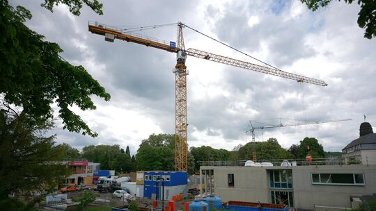 Noch lässt sich nur schwer erahnen, wie glanzvoll der fertige Kurpark einmal aussehen könnte.