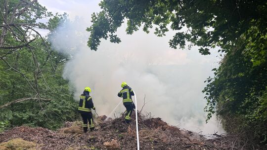 Feuerwehrleute bekämpfen einen Brand im unwegsamen Gelände bei Hüffelsheim. Drohnen halfen, die Glutnester zu lokalisieren.