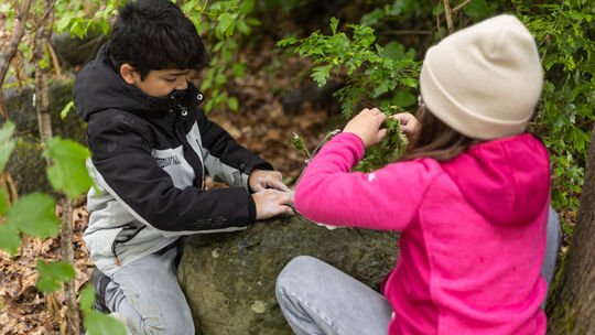 Beim Unterricht im Wald erleben die Kinder ihre Umwelt mit allen Sinnen.