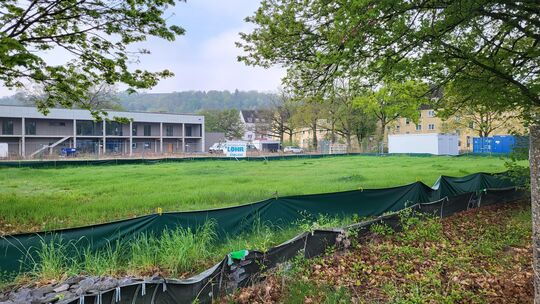 In der Koblenzer Goldgrube soll auf dieser Fläche der neue Interimsbau für das Max-von-Laue-Gymnasium entstehen.