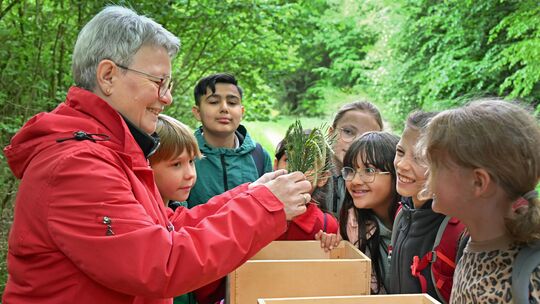 Anita Stilz, Büroleiterin im Forstamt Simmern erläuterte an ihrer Station den Kindern der Klasse 3 der Grundschule Zell das unte