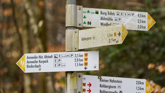 Wanderwege im Pfälzerwald