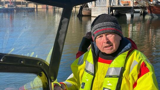 Weitere Entwicklung zum Buckelwal in der Ostsee