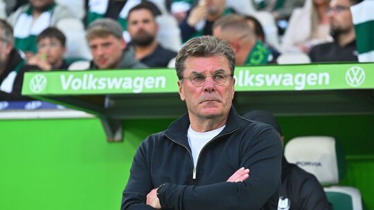 Wolfsburgs Trainer Dieter Hecking Wolfsburgs Trainer Dieter Hecking
