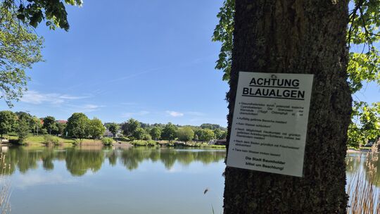Das Warnschild am Stadtweiher Baumholder soll Badegäste fern halten.