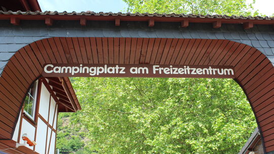 So schön es auch aussieht, der Bestand an Bäumen, die für einen Campingplatz im Grunde zu groß sind, verursacht nennenswerte Kos