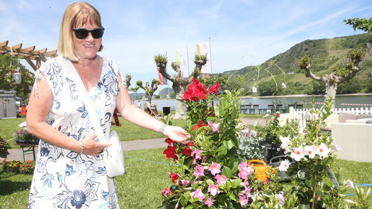 Blütenträume in Hülle und Fülle gab es bei der Messe Haus und Garten Mittelrhein in Andernach zu bestaunen. Blütenträume in Hülle und Fülle gab es bei der Messe Haus und Garten Mittelrhein in Andernach zu bestaunen.