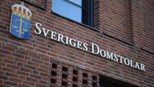 Klima-Aktivisten reichen Klage gegen den schwedischen Staat ein