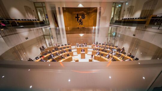 Drei Fachausschüsse im rheinland-pfälzischen Landtag stehen der AfD aufgrund ihres Wahlergebnisses zu.