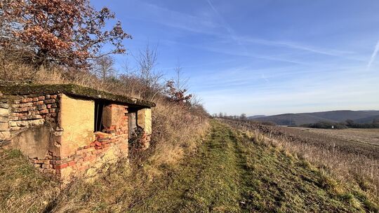 Das ist das mittlere der drei Wingertshäuschen am Fuße des Harsten bei Niederhausen.
