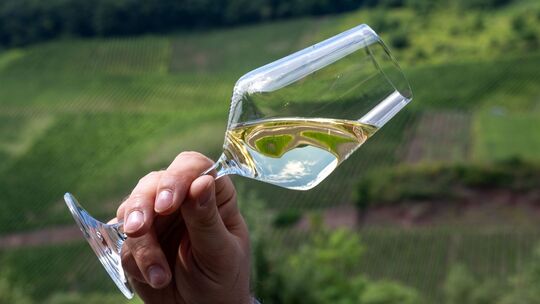 Fast vier Millionen Liter weniger Moselwein Fast vier Millionen Liter weniger Moselwein