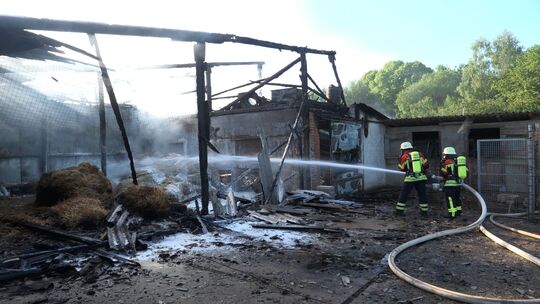 Brand in Gelügelhof