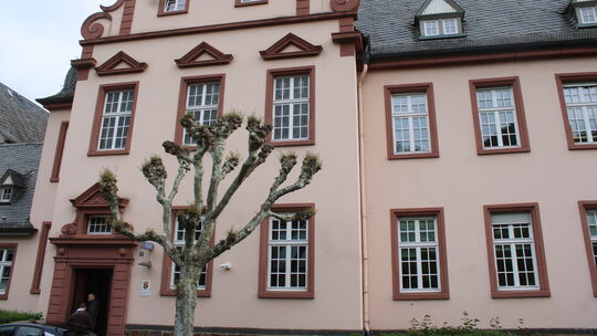 Mit einem Randalierer mussten sich die Beamten der Polizeiinspektion Bad Ems am 12. Mai auseinandersetzen. Es war nur ein Einzel