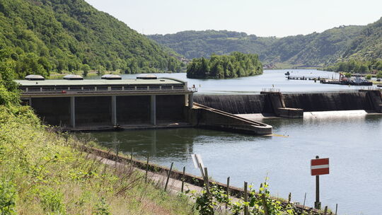In Lehmen soll eine neue Fischtreppe entstehen. Wie sieht es an anderen Schleusen an der Mosel aus?