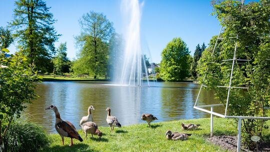 Sommerliches Wetter in Rheinland-Pfalz