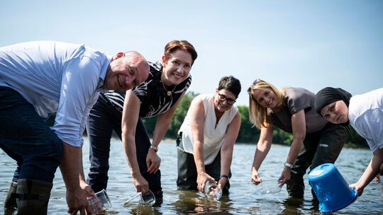 "Maifischbesatz" zur Wiederansiedlung des Maifischs im Rhein
