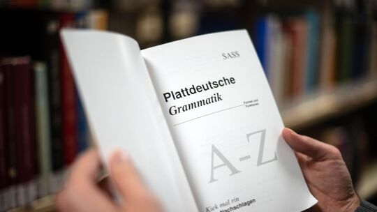 Onlineabstimmung für plattdeutsche Wortneuschöpfungen Onlineabstimmung für plattdeutsche Wortneuschöpfungen