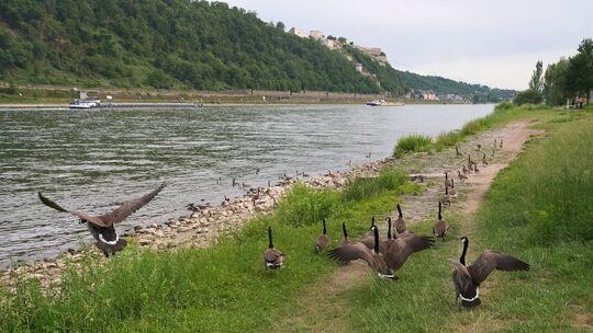 Wetter in Rheinland-Pfalz
