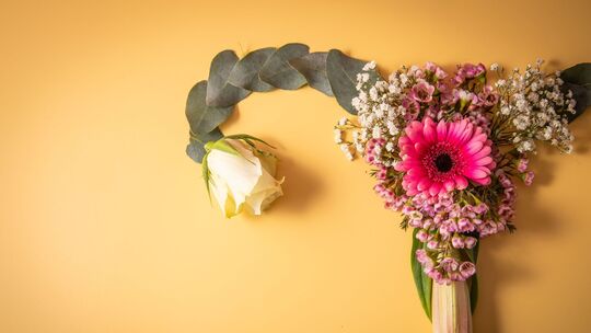 Weibliches Reproduktionssystem aus Blumen