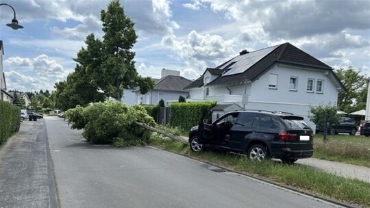 Verkehrsunfall mit gefälltem Baum im Hahnerweg Wittlich