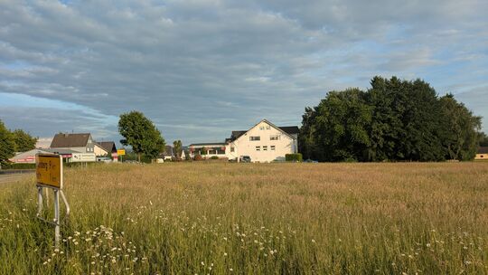 Auf dieser Wiese in Nauroth sollen in ein paar Jahren ein Einzelhandelsmarkt sowie ein Fachmarkt und ein Backshop stehen.