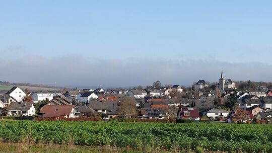 In Karweiler beschäftigte sich der Ortsbeirat mit der Aufstellung einer Notfallplanung.