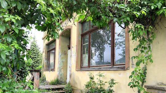 Früher ein lauschiges Weinhaus, heute ein zugewucherter Schandfleck: Die Rheinterrasse steht seit Jahrzehnten leer. Früher ein lauschiges Weinhaus, heute ein zugewucherter Schandfleck: Die Rheinterrasse steht seit Jahrzehnten leer.
