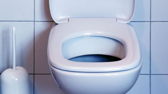 Toilettenschüssel Toilettenschüssel