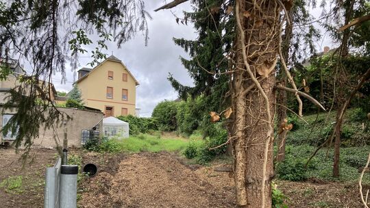 Hier könnten in nicht allzu ferner Zukunft genossenschaftlich errichtete Seniorenwohnungen nahe dem Plaidter Zentrum entstehen. Hier könnten in nicht allzu ferner Zukunft genossenschaftlich errichtete Seniorenwohnungen nahe dem Plaidter Zentrum entstehen.