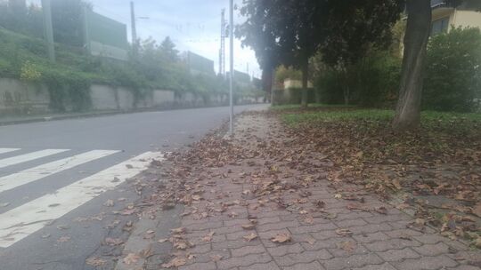Die Straßenreinigungssatzung hat für Kritik von Haus & Grund gesorgt. Die Straßenreinigungssatzung hat für Kritik von Haus & Grund gesorgt.