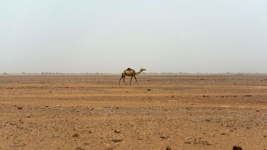 Sahara im Niger Sahara im Niger