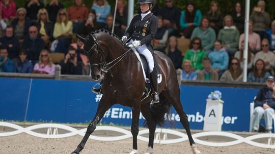 Pferdesport Dressur: Deutsche Meisterschaft Pferdesport Dressur: Deutsche Meisterschaft