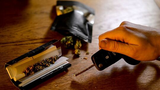 Cannabis