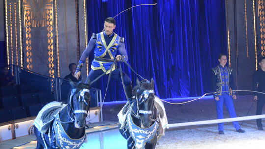 Die Pferdevorführungen des Circus Krone waren Ende Mai beim Gastspiel auf der Bad Kreuznacher Pfingstwiese