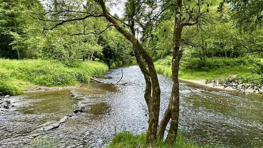 Das Deutsche Eck des Westerwaldes in der Kroppacher Schweiz bezeichnet den malerischen Zusammenfluss der Großen und Kleinen Nist