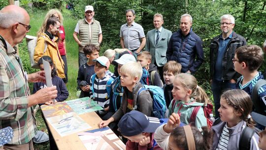 Die Schülerinnen und Schüler der Klasse 3b der Joseph-Kehrein-Schule erfahren bei Detlef Groß alles über den Weg des Holzes, vom