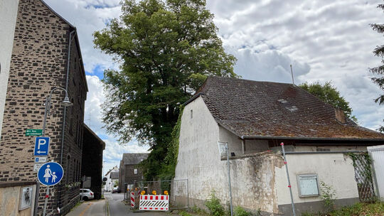 Der mehrere Hundert Jahre alten Winterlinde in Mendig droht jetzt der Exitus.